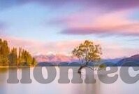 麻豆精品传媒一二三区-麻豆精品传媒，邂逅创意与艺术的精彩之旅