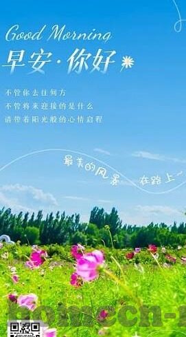 麻豆视传媒免费官网视频在线观看-麻豆视界，营造视听盛宴的自由空间