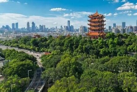 糖心app免费下载ios-如何轻松获取糖心app免费下载，iOS 平台使用者的必备指南